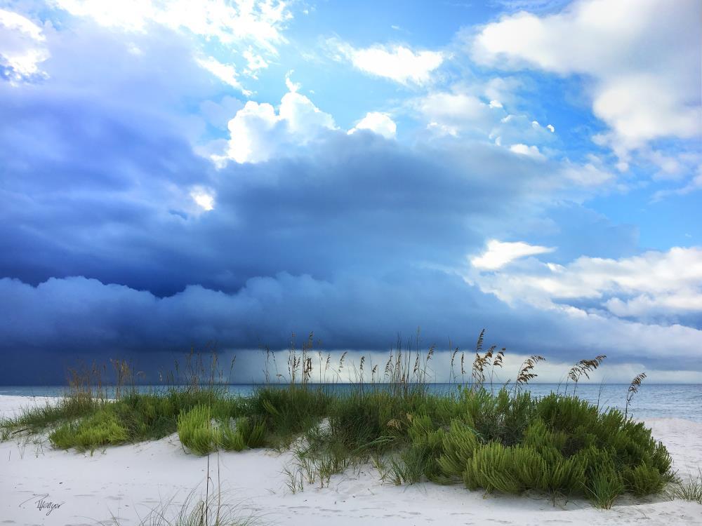 Storm at the Beach on the Gulf Coast